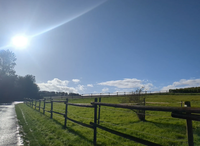 Hackenheim | Foto: Astrid Günther