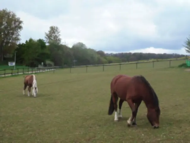 Hackenheim | Foto: Astrid Günther