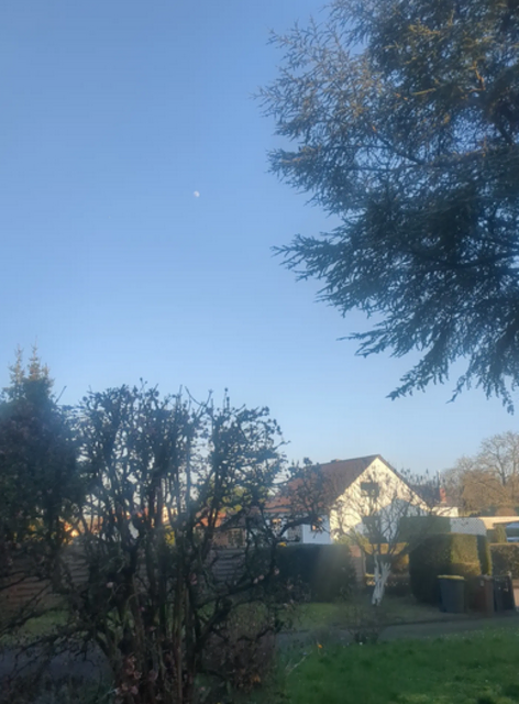 Hackenheim | Foto: Astrid Günther