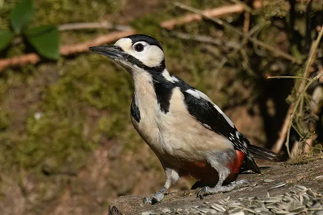 Foto: Copyright Andreas Schäfer