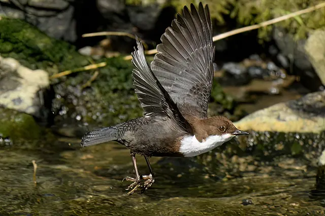 Foto: Copyright Andreas Schäfer