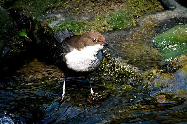 Foto: Copyright Andreas Schäfer