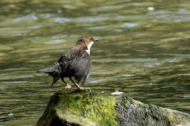 Foto: Copyright Andreas Schäfer