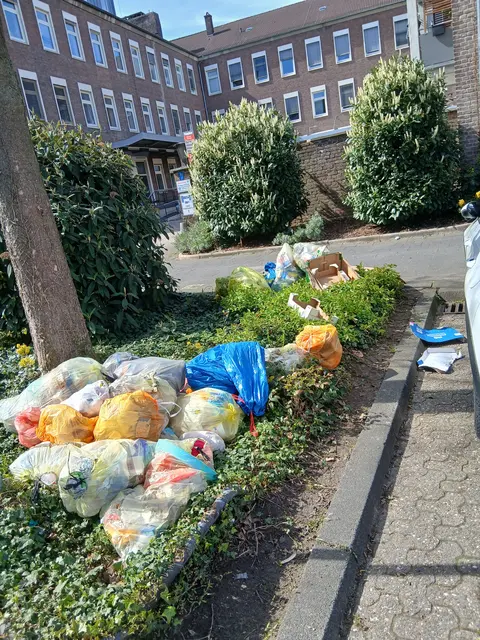 Gelbe und andersfarbige Plastiksäcke auf Grünanlage in der Innenstadt von Wesel, Friedrichstraße, nähe Berliner-Tor-Platz. Im Bildhintergrund die Postbank Filiale Wesel. Innenstadt- Abfuhrbezirk 10.
Sachstand: 08.04.2026,14:29 Uhr
Geplanter Abfuhrtermin laut Abfall- und Wertstoffkalender: 17.04.2026 | Foto: Siegmund Walter, 08.04.2026, 14:29 Uhr