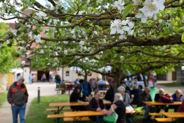 Blick in den Museumshof. | Foto: Matthias Meyer