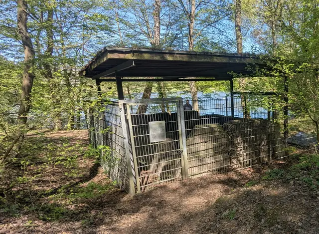 Ein Ausflug in die Römerzeit....
Römische Grabkammer, 1928  bei den Bauarbeiten zum Grüngürtel ausgegraben.