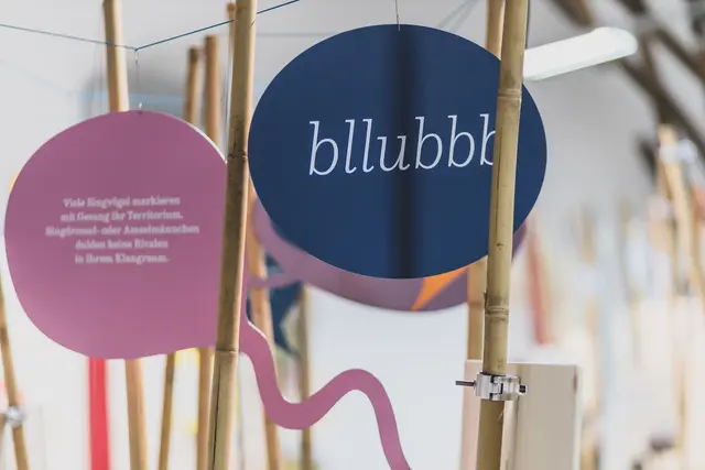 Einblick in die Ausstellung „Land.schafft.Klang“, die an diesem Tag kostenfrei besichtigt werden kann. | Foto: Matthias Ettinger