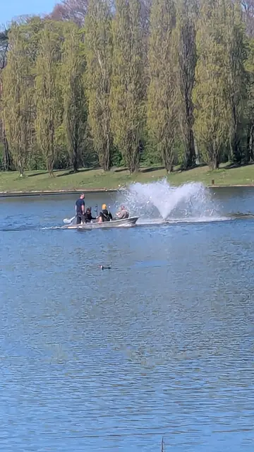 Der Förderverein kümmert sich ehrenamtlich und mit liebevoller Hingabe auch um die gefiederten Bewohner des Weihers.