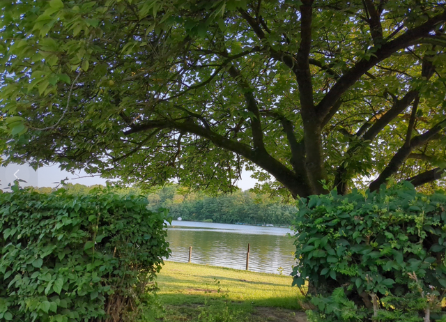 Schwimmverein DSV98 in Duisburg | Foto: Astrid Günther