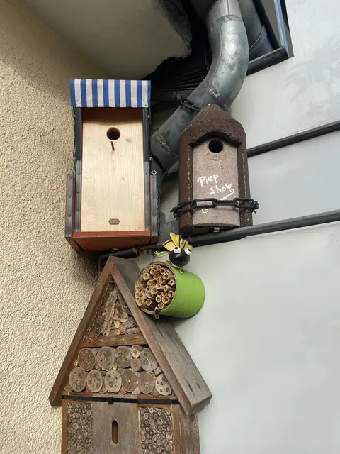 Neubau einfach nicht gefragt. | Foto: umbehaue