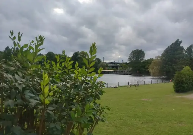 Schwimmverein DSV98 in Duisburg | Foto: Astrid Günther