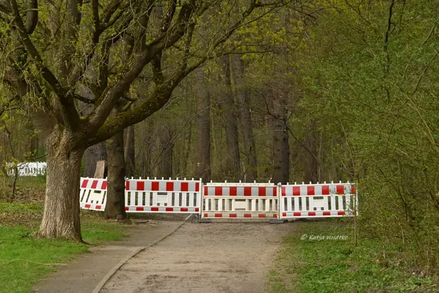 Parks und Gärten in Niedersachsen (Foto: Katja Woidtke)

Stadtpark Langenhagen wird aufgehübscht - gesperrte Wege wegen der Sanierung | Foto: Katja Woidtke