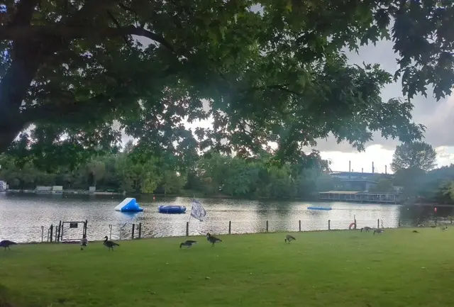 Schwimmverein DSV98 in Duisburg | Foto: Astrid Günther