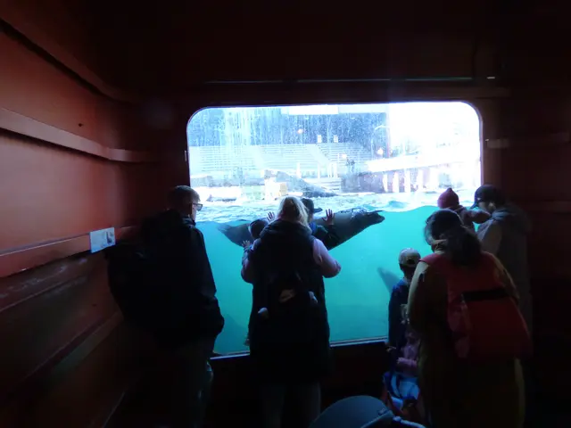 In der Unterwasserwelt gibt es immer was zu sehen
