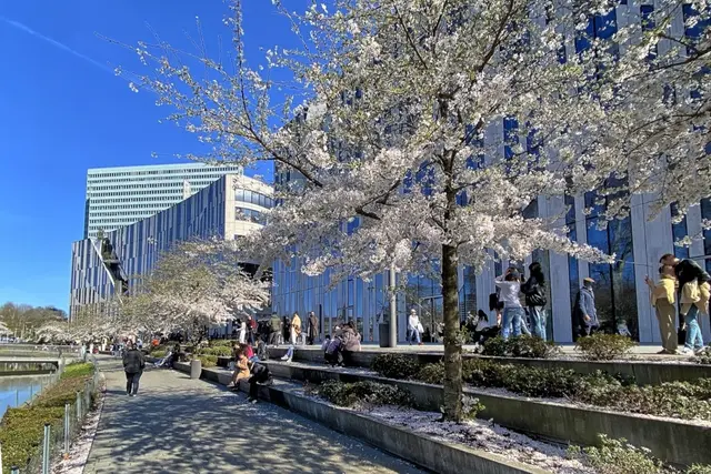 Kö-Bogen in Düsseldorf | Foto: Copyright Margot Klütsch