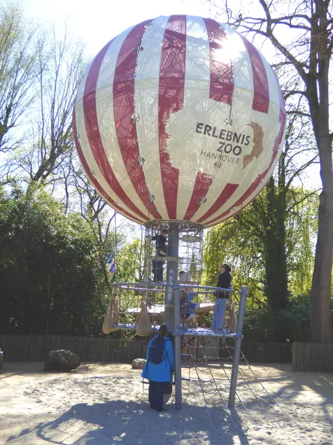 Hier kann man hoch klettern