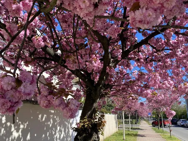 Foto: Copyright Margot Klütsch