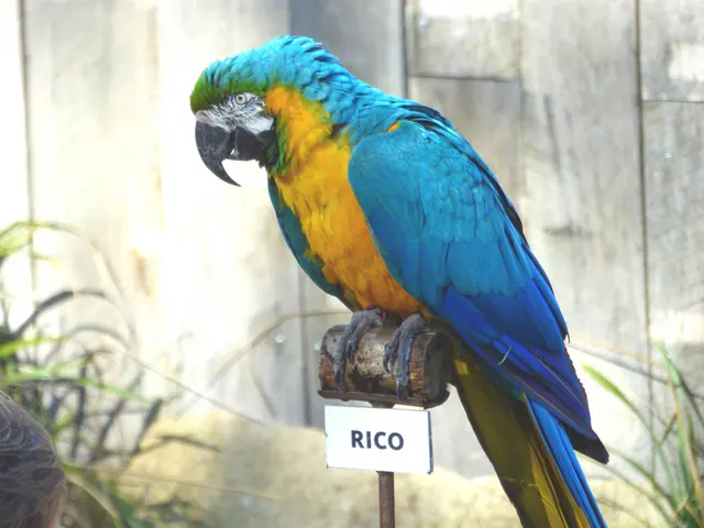 Darf ich euch zum Zoobesuch begrüßen?