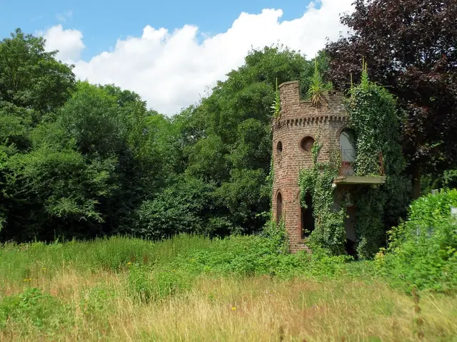 Alter, leicht mit Wildgewächsen bewachsener, unter Denkmalschutz (Baudenkmal) stehender Turm in Rheinberg, Kreis Wesel. | Foto: Siegmund Walter, 14.07.2024, 12:47 Uhr
