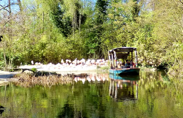 Dann kann die Bootsfahrt losgehen