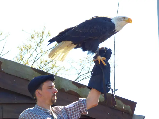 Die Tiershows in der Yukon Bay sind immer ein Muss 