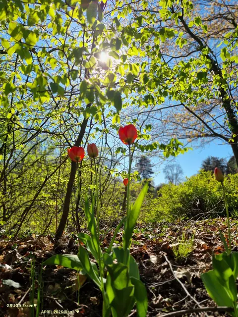 ... mitten drin ein ROTES Highlight