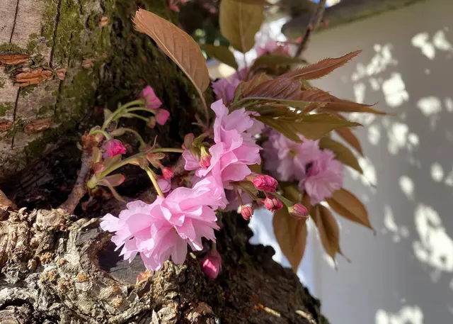 Foto: Copyright Margot Klütsch