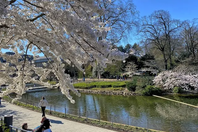 Düsseldorf, Kö-Bogen | Foto: Copyright Margot Klütsch