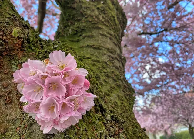 Foto: Copyright Margot Klütsch