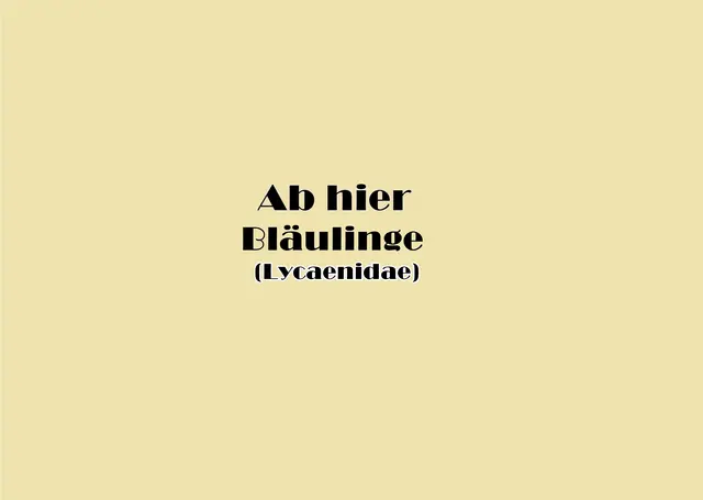 Foto: GvMeegen