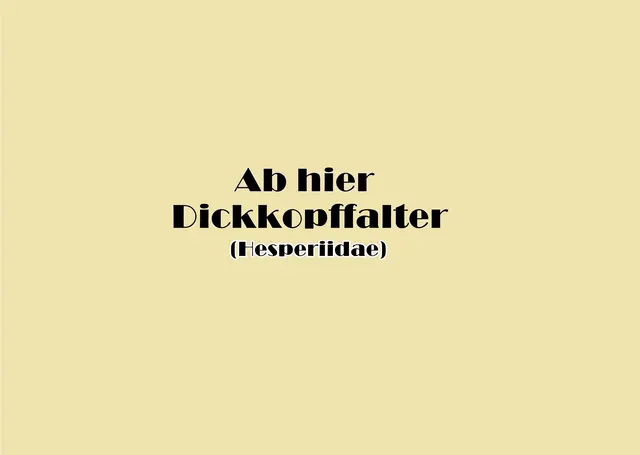Foto: GvMeegen