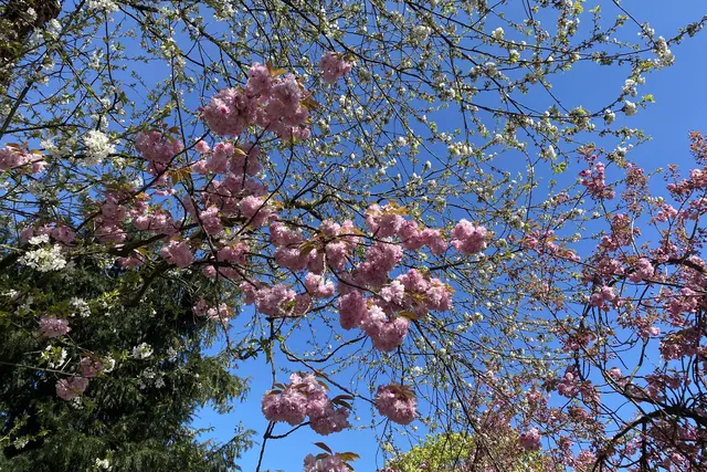 Foto: Copyright Margot Klütsch