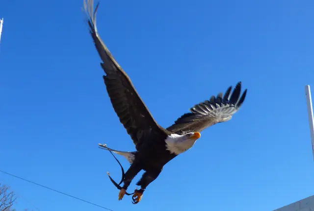 Still sitzen und den Kopf einziehen wenn er über ein fliegt