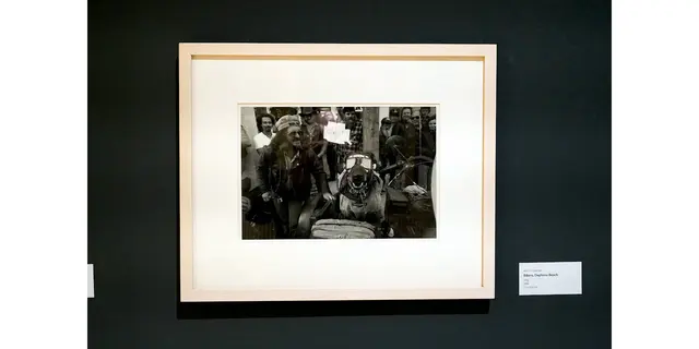 Titel: Bikers, Daytona Beach von Fotograf Ben J. Fernandez
Von Fotografie Ausstellung: Zwischen Blick und Begegnung – Tiere in der zeitgenössischen Fotografie.