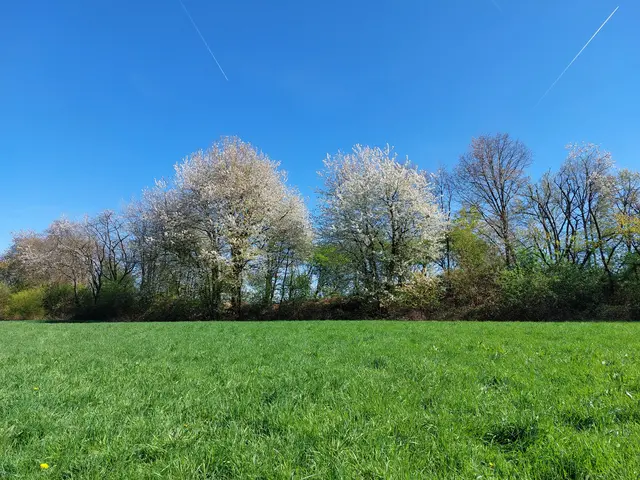 Frühling im Duisburger Süden