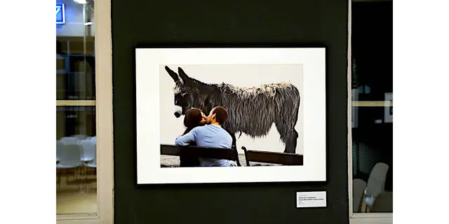 Titel: Photo Fest in Bratislava mit großen Bildern in den Straßen von Fotograf Thomas Höpker

Von Fotografie Ausstellung: Zwischen Blick und Begegnung – Tiere in der zeitgenössischen Fotografie.