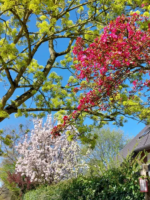 Frühling im Duisburger Süden