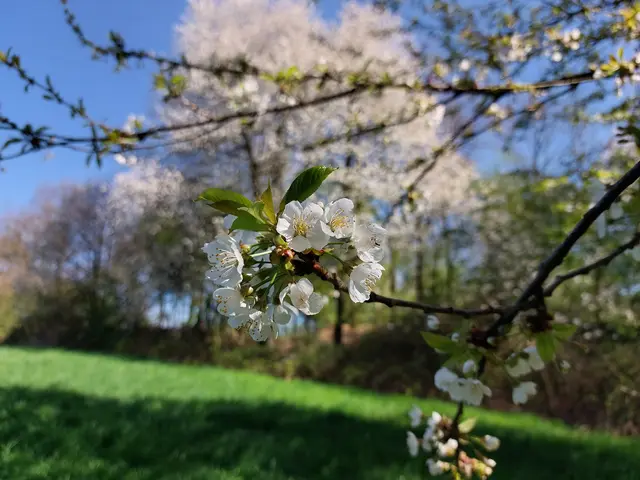 Frühling im Duisburger Süden