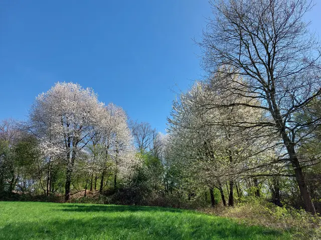 Frühling im Duisburger Süden