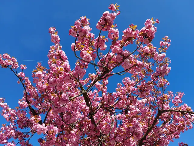 Frühling im Duisburger Süden