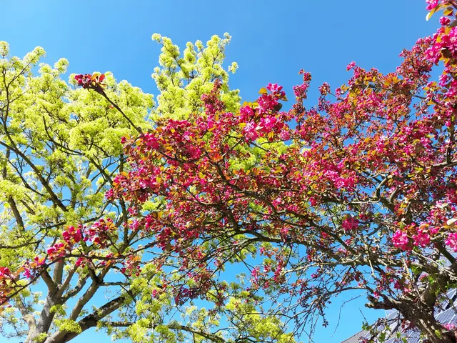 Frühling im Duisburger Süden