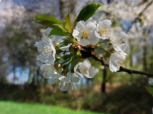 Frühling im Duisburger Süden