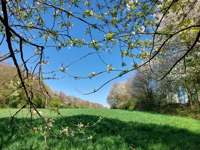Frühling im Duisburger Süden