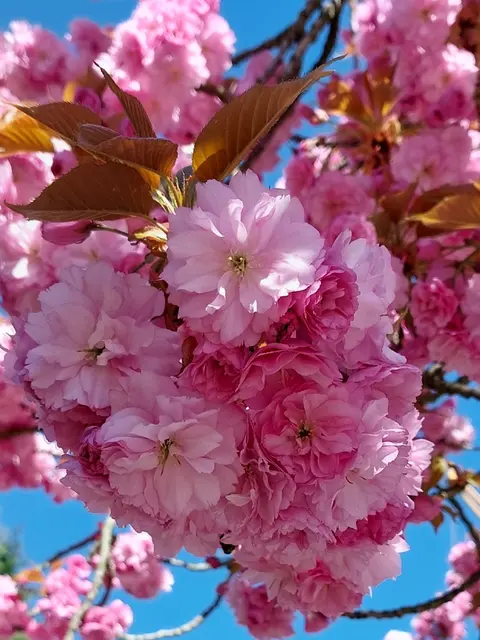 Frühling im Duisburger Süden