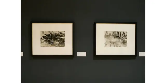 Wildpferde in Kenia von Fotograf Ulrich Mack
Von Fotografie Ausstellung: Zwischen Blick und Begegnung – Tiere in der zeitgenössischen Fotografie.