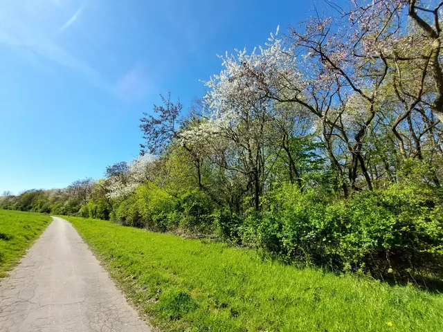 Frühling im Duisburger Süden
