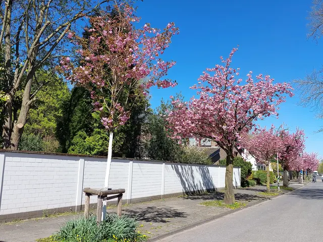 Frühling im Duisburger Süden