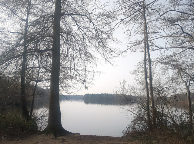 Wolfssee, Duisburg | Foto: Astrid Günther