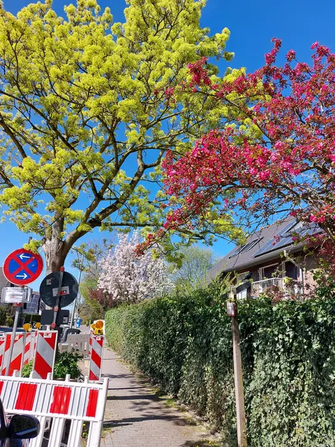 Über der Baustelle blüht es... Frühling im Duisburger Süden
