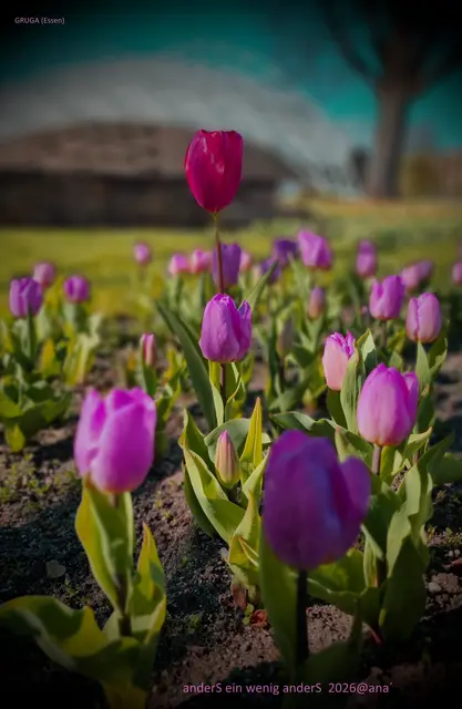 anderS ein wenig anderSehen ♥

(dezent bearbeitet)